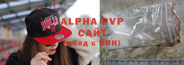 индика Богородск