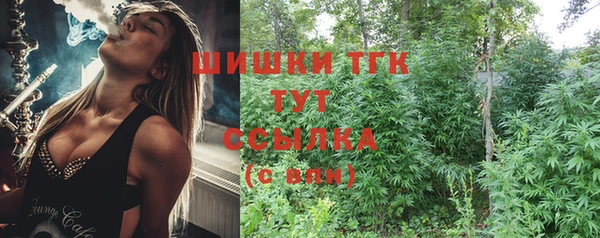 индика Богородск