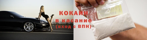 индика Богородск