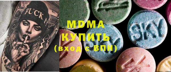 индика Богородск
