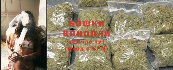 тгк Богданович
