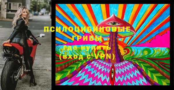 индика Богородск