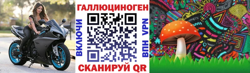 Галлюциногенные грибы ЛСД  магазин продажи   Демидов 